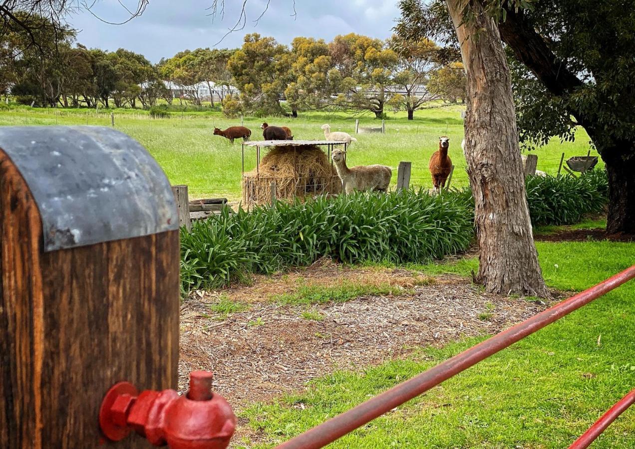 Cherry Plum Cottages Port Fairy Zewnętrze zdjęcie