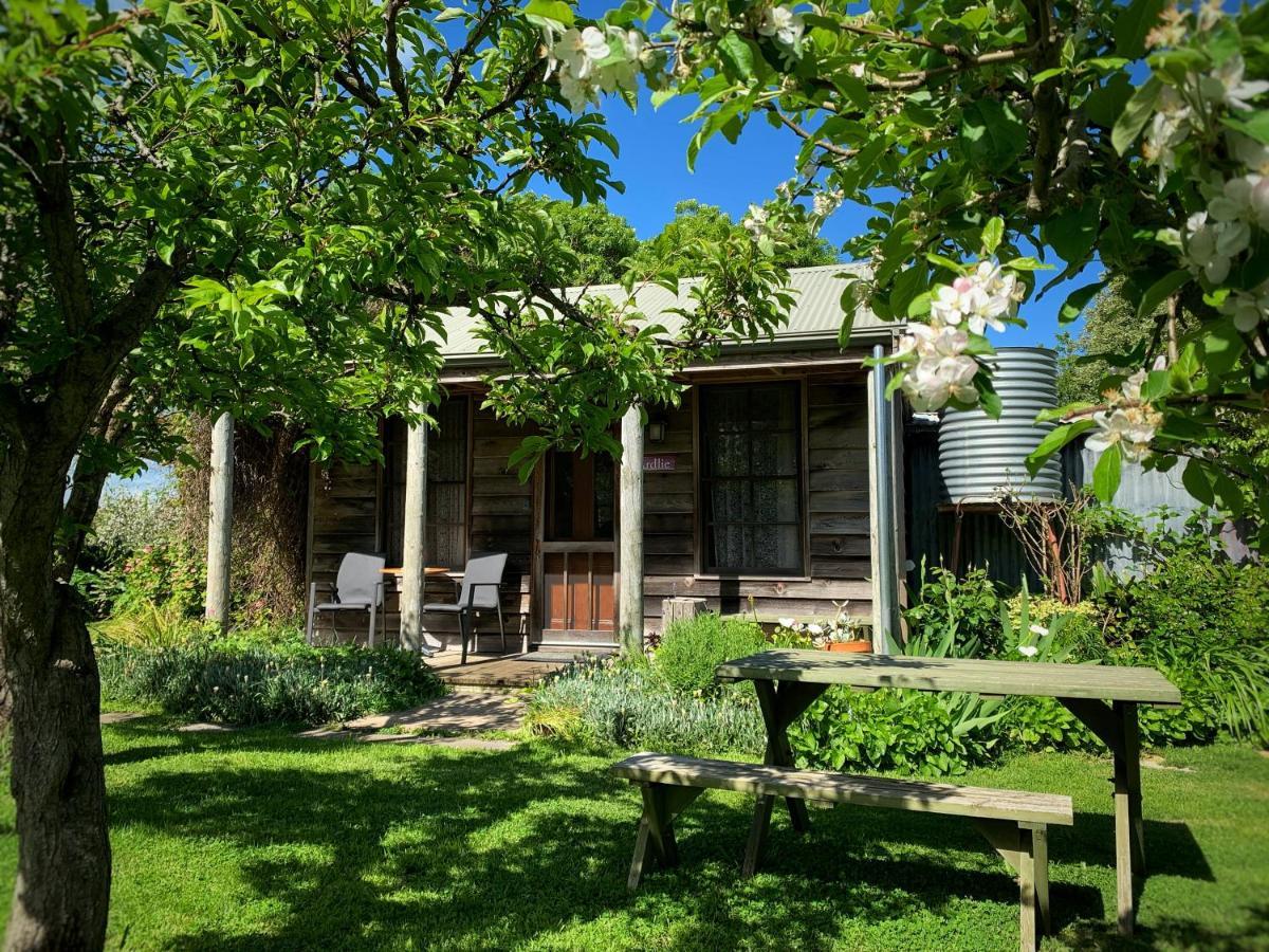 Cherry Plum Cottages Port Fairy Zewnętrze zdjęcie